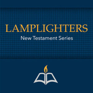 Complete Set – New Testament (21 Studies)
